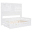 Daybed & All-In-One Cabinet And Shelf