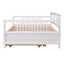 Multifunctional Modern Daybed