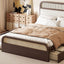 Platform Bed With Trundle And 2 Drawers