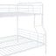 Contemporary Bunk Bed