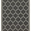 Sunshine - 5'3" X 7'3" Indoor & Outdoor Area Rug Polypropylene - Anthracite