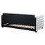 Fandango - Upholstered Twin Day Bed With Trundle - White
