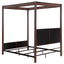 Tova - Canopy Bed