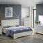 Chic Elegantly Designed Transitional Bed