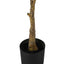 52" Tall, Artificial Plant, Rubber Tree, Indoor, Fake, Floor, Greenery, Potted, Real Touch, Decorative - Green / Black