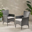 Dimensional Outdoor Dining Chair With Cushion Seat And Iron Frame (Set of 2)