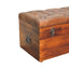 Buffalo - Storage Trunk