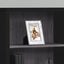 5 Tier For Office Bookshelf, Bookcase, Etagere, Contemporary & Modern