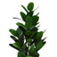 28" Tall, Artificial Plant, Garcinia Tree, Indoor, Faux, Fake, Floor, Greenery, Potted, Real Touch, Decorative - Green / Black