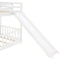 Functional Bunk Bed & Convertible Ladder And Slide
