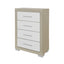 Elsa - 2 Toned And Chest With Bar Handle
