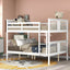 Bunk Bed With Ladder For Bedroom