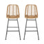 Sawtelle - Outdoor Wicker Barstools (Set of 2)
