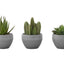 Artificial Succulent Plants (Set of 3)