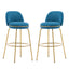 Rio Claro - Indoor Upholstered Barstool (Set of 2)