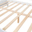 Multifunctional Elegant Modern Daybed