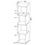 4 Tier Bookcase With Accents