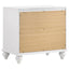 Barzini - 2 Drawer Nightstand Storage - White