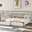 Multifunctional Elegant Modern Daybed