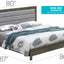 Transitional Modern Design Bed