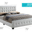 Stylish Transitional Bed