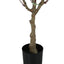 46" Tall, Artificial Plant, Eucalyptus Tree, Indoor, Faux, Fake, Floor, Greenery, Potted, Decorative - Green / Black
