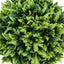 5" Tall, Artificial Plant, Grass, Indoor, Faux, Fake, Table, Greenery, Potted, Decorative (Set of 3) - Green / Gray