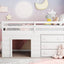 Loft Bed With Cabinet And Shelf
