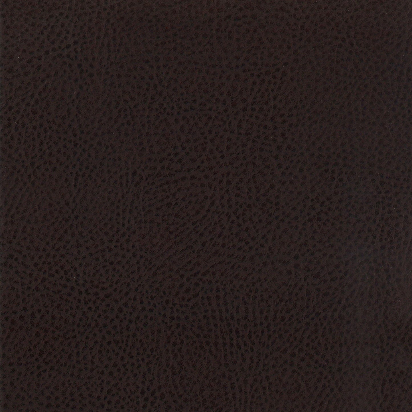 Dewey - Upholstered Counter Chair (Set of 2) - Walnut