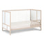 Pixie Finn - 3-in-1 Crib