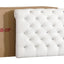 Elegant Transitional Upholstered Bed