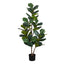 49" Tall, Artificial Plant, Fiddle Tree, Indoor, Faux, Fake, Floor, Greenery, Potted, Real Touch, Decorative - Green / Black