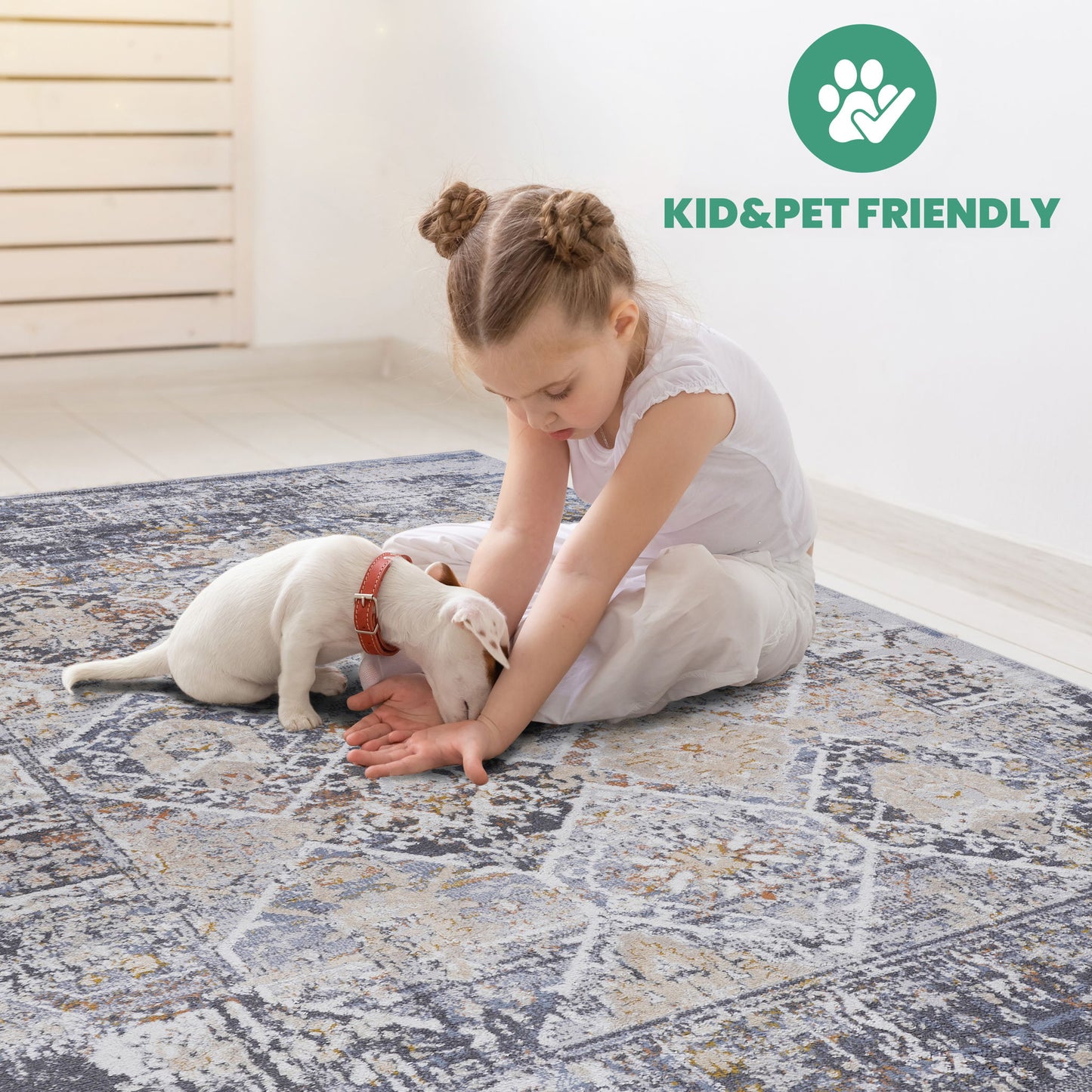 Payas - 6' X 9' Traditional Area Rug - Multi