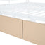 Contemporary Bunk Bed