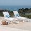 Myers - Modern Chaise Lounge Set With Adjustable Back