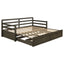 Twin Long 2 Drawer Daybed With Extendable Trundle, Storage Drawers, Fits Standard Mattress - Gray