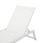 Myers - Modern Chaise Lounge Set With Adjustable Back