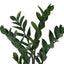 29" Tall, Artificial Plant, Zz Tree, Indoor, Faux, Fake, Floor, Greenery, Potted, Real Touch, Decorative - Green / Black