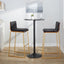 Mason Mara - Contemporary Versatile Desig Fixed Height Barstool (Set of 2)