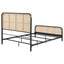 Randall - Bed