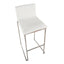 Mason Mara - Contemporary Fixed Height Barstool (Set of 2)