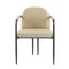 Modern Dining Chair (Set of 2) With Iron Frame - Espresso / Khaki