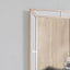 Elegant Contemporary Mirror
