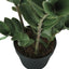 29" Tall, Artificial Plant, Zz Tree, Indoor, Faux, Fake, Floor, Greenery, Potted, Real Touch, Decorative - Green / Black