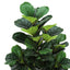 47" Tall, Artificial Plant, Fiddle Tree, Indoor, Fake, Floor, Greenery, Potted, Real Touch, Decorative - Green / Black