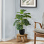Artificial Monstera Plant