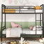 Contemporary Bunk Bed