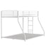 Adam - Bunk Bed