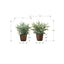 Artificial Eucalyptus Grass (Set of 2)