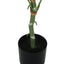 54" Tall, Artificial Plant, Dieffenbachia Tree, Indoor, Faux, Fake, Floor, Greenery, Potted, Real Touch, Decorative - Green / Black